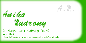 aniko mudrony business card